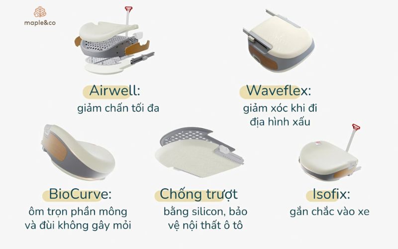 Vì sao chọn booster Maple&Co thay vì sản phẩm khác?