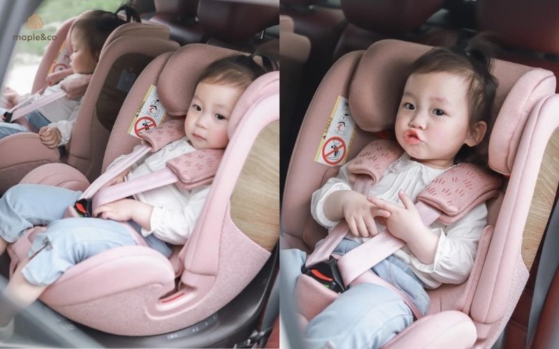 Maple&Co Nautilus – Hành trình đầu đời theo cách đẹp nhất