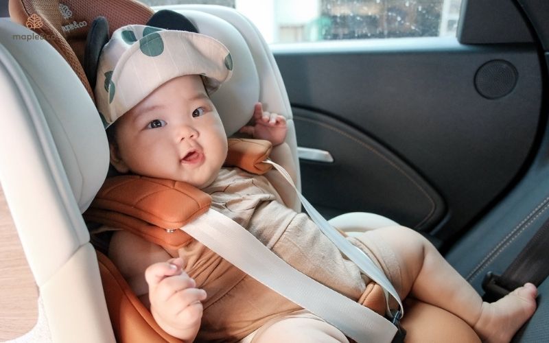 Các tiêu chuẩn chứng nhận phổ biến trên thế giới